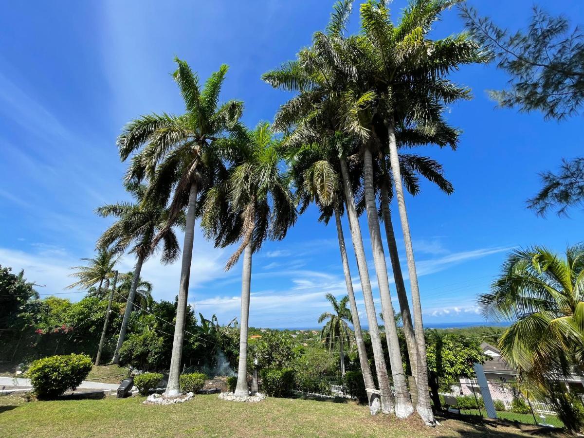 Peaceful Palms Montego Bay酒店 外观 照片